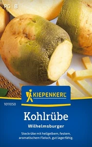 KOHL-/ STECKRÜBE " Gelbe Wilhelmsburger " Kiepenkerl ca. 300 Samen - Bild 1 von 2