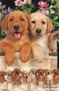Keith Kimberlin Puppies Labs Poster - Picture 1 of 1