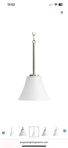 NIB Progress Lighting -Bravo Brushed Nickel One Light Mini Pendant P5300-09 100W - Picture 1 of 4