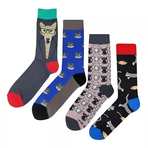 NWT Cat Dress Socks 4 Pack Novelty Men 8-12 Crazy Fun Sockfly - Picture 1 of 6