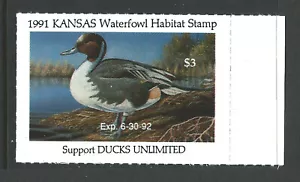 Estampilla de pato de Kansas Bigjake, KS5 1991, $3.00 cola pintada - Imagen 1 de 1