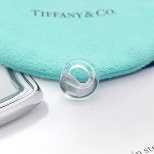 Tiffany & Co. Peretti Clear Rock Crystal Carved Eternal Circle Pendant w/Pouch - Picture 1 of 9