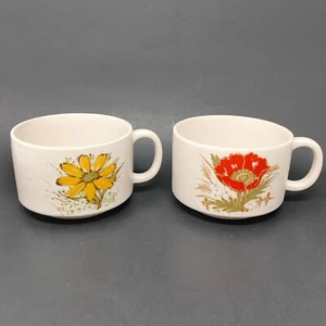 Vintage Steingut Suppe Chili Tassen Beige Bunt Blumen Orange und Gelb Set 2 - Bild 1 von 10