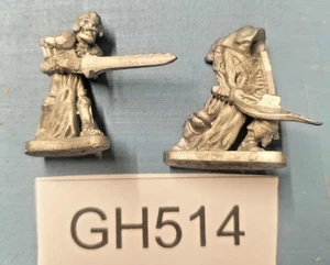 Grenadier Miniatures Undead Champion S174 & Wraith S173 Bob Naismith - Imagen 1 de 4