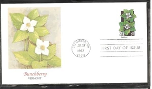 US SC # 2675 Wildflowers - Bunchberry - FDC. Fleetwood Cachet . - Picture 1 of 1