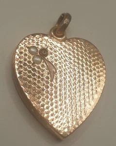Colgante Corazón Art Nouveau Doble Oro con 2 Semillas y 1 Rubí 35 x 24 mm - Imagen 1 de 6