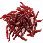 100Pcs Red Artificial Worms Fishing Lures Silicone Baits Sea Accessories