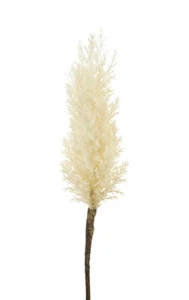 Artificial Cream Color Panpas Grass Stem For Wedding & Home Party Decor - Picture 1 of 2