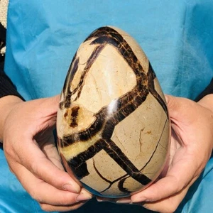 3.76LB Natural Turtle Back Stone Egg Shape Dragon Crystal Crack healing 2409 - Picture 1 of 14