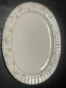 Vintage Mikasa Bone China Roselle 14-inch oval serving platter Japan L9813 - Picture 1 of 10