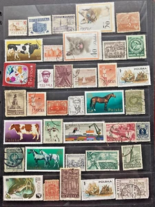 POLAND STAMPS - MIXED LOT - PRE-DECIMAL/DECIMAL. - Bild 1 von 1