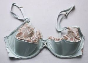 Savage X Fenty Women's Savage Not Sorry Half-Cup Plunge Bra DH3 Blue 34D NWT - Picture 1 of 4