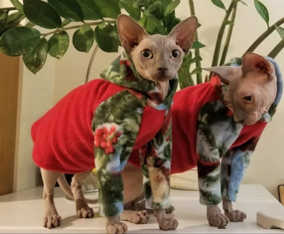 Chaqueta polar festiva de vacaciones para gatos - MEDIANA, acogedora suéter roja, estampado navideño Foto 1 de 3