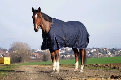 Outdoordecke Pferde Regendecke Weidedecke 1200 D 50 g blau Ekkia Classic - Bild 1 von 4