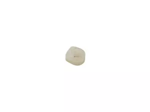 00 Polaris Trail Boss 325 Headlight Head Light Mounting/Adjuster Nylon Nut - Bild 1 von 4