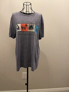 Zion National Park Souvenir Gray Polyester Blend T-shirt Size M Jerzees - Picture 1 of 5
