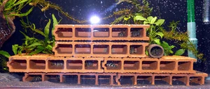 5x Cueva para L-Welse, bagre de antena, entre otros peces, cría + escondite, decoración de acuario - Imagen 1 de 12