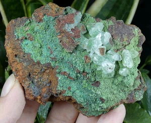 Calcit auf Conichalcit Ojuela 8,5x7cm Mexiko Mineral Sammlung Reiki Stein - Bild 1 von 9