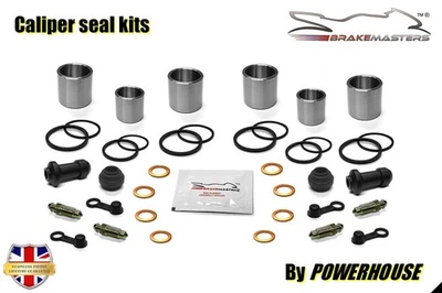 Victory Vision Tour 1731/106 2008 front brake caliper piston seal maintenance - Image 1 of 4