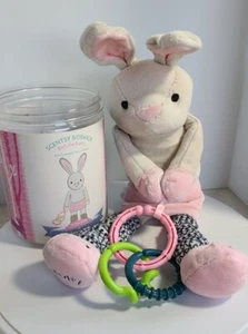 New Scentsy Sidekick Birch the Bunny #46062 Plush Scented Toy: Jammy Time Scent  - Picture 1 of 13