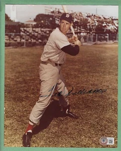 TED WILLIAMS SIGNED 8 X 10 PHOTO BECKETT CERTIFIED BOSTON RED SOX - Picture 1 of 3