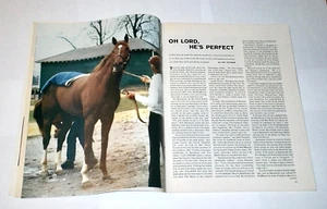 1973 Sports Illustrated SECRETARIAT gets ready for DERBY ! Big Red ! - Picture 1 of 1