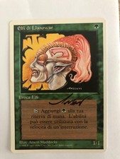 MTG ARTIST PROOF ITALIAN REVISED EDITION LLANOWAR ELVES SIGNED ANSON MADDOCKS
