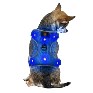 New Small Blue LED Dog Harness Light Up Adjustable Flashing Safety Belt Collar - Bild 1 von 12