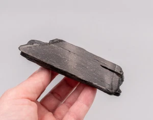 Fósil pulido Marlin Billfish fósil 1858 - Imagen 1 de 7