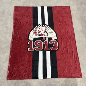 Black Proud 1913 Blanket, Sorority, Fleece 49X59inches New/open Box Free Ship - Picture 1 of 3