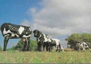 Milton Keynes, Buckinghamshire - Concrete Cows - MKDC postcard c.1980s - Picture 1 of 2