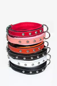 CUELLOS DE CUERO CON TACHUELAS PARA PERROS PEQUEÑOS ACCESORIOS CROMADOS TOTALMENTE ACOLCHADOS EN 6 COLORES - Imagen 1 de 14