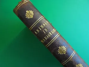 ANIMALS IN MENAGERIES 1838 WILLIAM SWAINSON VICTORIAN ZOOLOGY - Picture 1 of 12