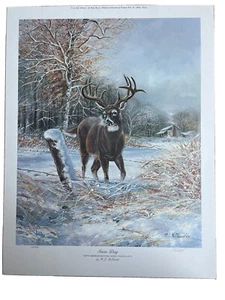R.J. McDonald Snow Day Four 21,5 x 17,5 Hirschbuck signiert/nummeriert Lithographie - Bild 1 von 8