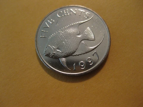 1997 Bermuda coin 5 Cents  Queen Angel Fish   Unc Beauty awesome ! ebayship Cover