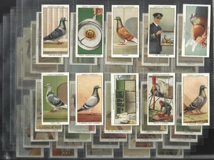ATC2)  1931 ORIGINAL OGDENS RACING PIGEONS CIG CARDS PRE WAR VINTAGE BIRDS ++ - Foto 1 di 20