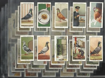 ATC2)  1931 ORIGINAL OGDENS RACING PIGEONS CIG CARDS PRE WAR VINTAGE BIRDS ++ - Image 1 of 4