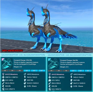 Top Stat Gigantoraptor Mating Pair - Sub Zero - Ark Ascended Crossplay PVE - Picture 1 of 3