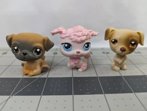 Littlest Pet Shop 2 48 109 Pug Poodle Jack Russell - Picture 1 of 4