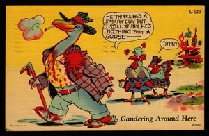 Postcard Gandering Around Here Curt Teich Comic Nothing But A Goose Humor 1951 - Imagen 1 de 2