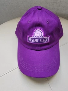 SESAME STREET Purple Big Bird Logo Baseball Cap Size Youth NWT Hat - Picture 1 of 9