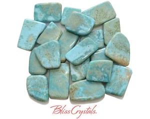 1 LARIMAR Scheibe + Tasche alias Delphin Stein blau Pektolith #LS40 - Bild 1 von 1