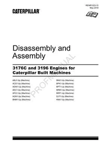 Gruppo smontaggio manuale macchina costruita Caterpillar CAT 3176C 3196 MOTORE - Foto 1 di 1