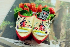 Tulips In The Wooden Shoes Amsterdam Holland Netherlands Souvenir Fridge Magnet - Picture 1 of 6