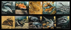 GB 3609-3618 Sustainable Fish set 10 MNH 2014 - Picture 1 of 1