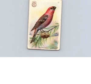 1918 Arm & Hammer Useful Birds America Second Series Pine Grossbeak No 16 - Picture 1 of 2