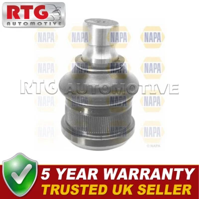 Front Lower Ball Joint Fits Renault Master 1998- Vauxhall Movano 1998-2010 - Image 1 of 2