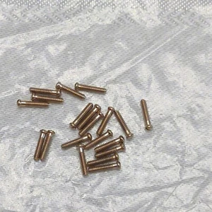 True Vintage AMERICAN OPTICAL  AO  hardware  screws  10  pieces - Picture 1 of 3