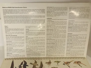 Vintage RSPB Bird Identification Guide / Charts 1970s. - Picture 1 of 12