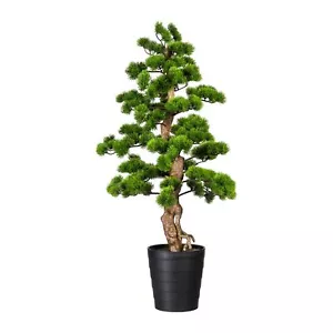 Bonsai Kiefer ca 110x50cm, im Kunststofftopf 21x23cm schwarz, Kunststoff Kunstpf - Bild 1 von 1